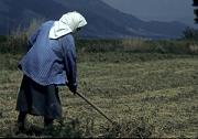 agricultura, impozit agricultura, impozit